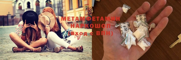 прущие грибы Новокубанск