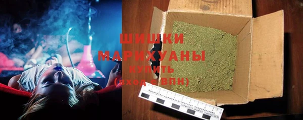 гидра Новодвинск