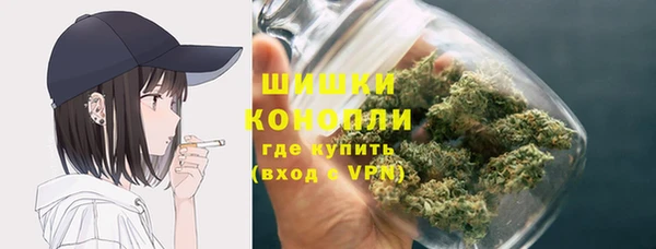 гидра Новодвинск