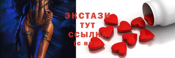 гидра Новодвинск