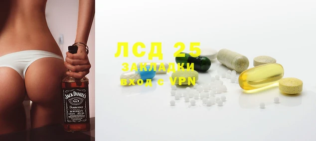 гидра Новодвинск