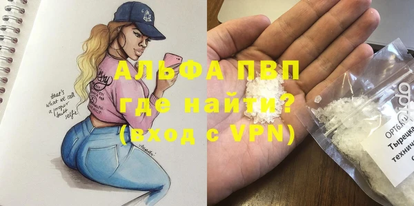 гидра Новодвинск