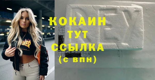 прущие грибы Новокубанск
