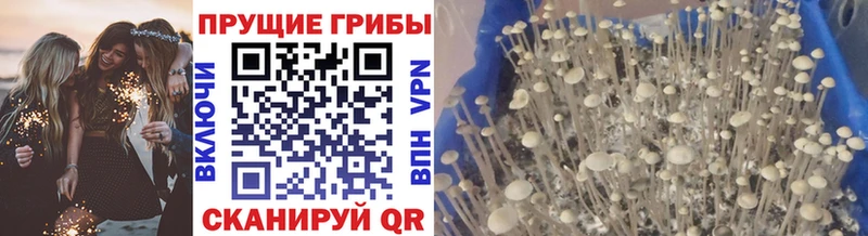 Галлюциногенные грибы прущие грибы Энем
